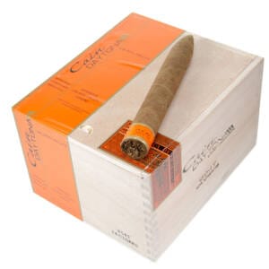 Cain Daytona Torpedo cigars made in Nicaragua. Box of 24. Free shipping!